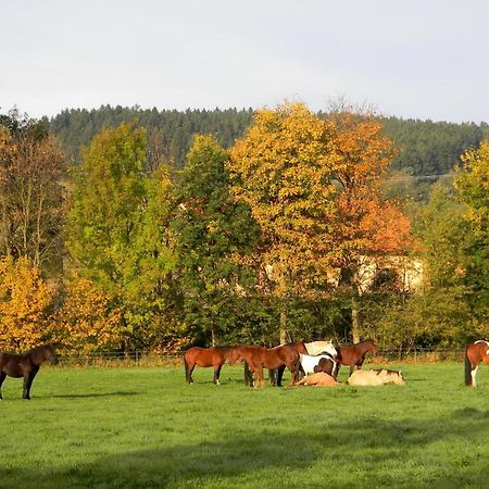 Lidmiluv Mlyn Hotel Sádek Kültér fotó