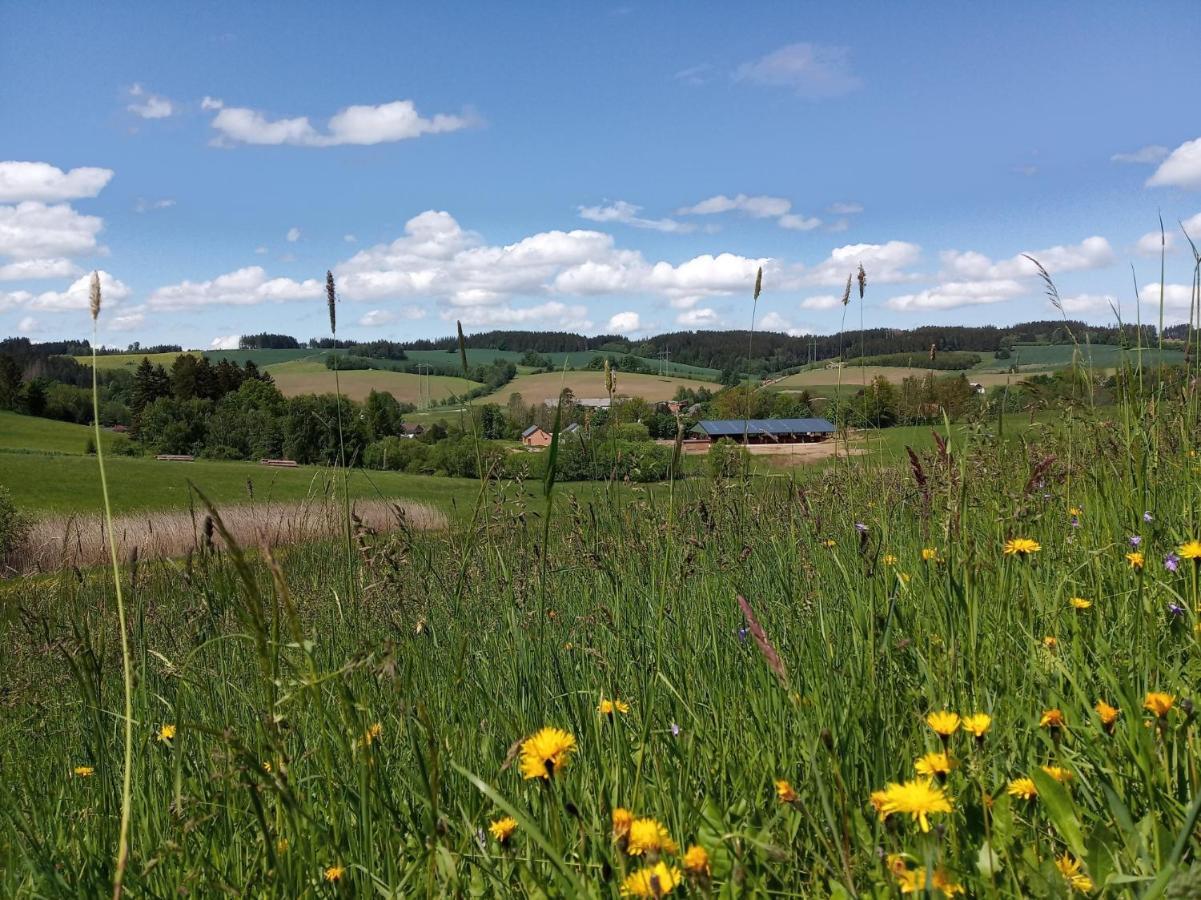 Lidmiluv Mlyn Hotel Sádek Kültér fotó