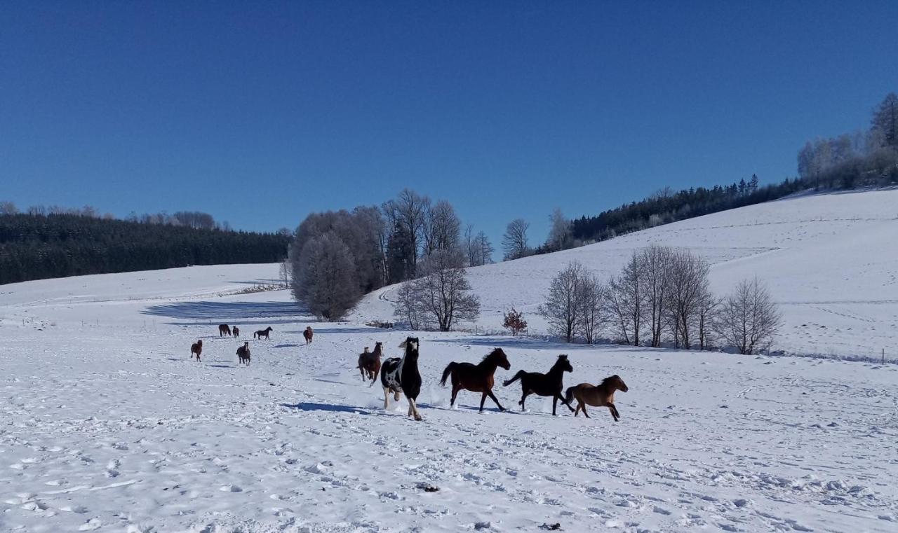 Lidmiluv Mlyn Hotel Sádek Kültér fotó